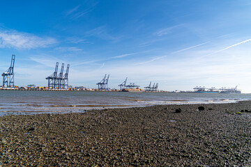 Large steel gantry container cranes in commercial shipping port