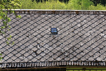 moss and algae on slate roof tiles
