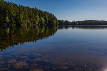 Obraz premium reflection in the water