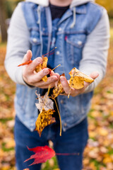 Autumn leaves falling from hands