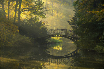 Jesienny mglisty poranek w parku - obrazy, fototapety, plakaty