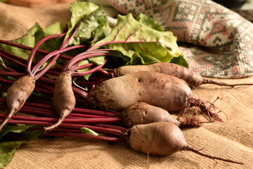 In the picture, ripe table beets with green tops lie on burlap.