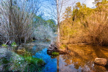 Caminando por el sendero junto al pantano de Benitandos por un sendero con increíble vegetación.