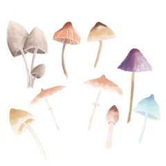 Set of magic mushrooms with transparent background