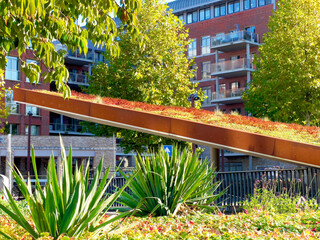 Green sedum roof with a slope for climate adaptation and urban greening