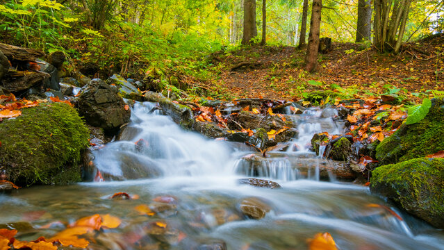 Water Flow In The Forest, Autumn Landscape. Water In Slow Motion