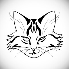 Smirking sly face of striped cat