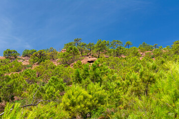 Vista desde abajo de las agujas de santa agueda del desierto de las palmas en Benicassim