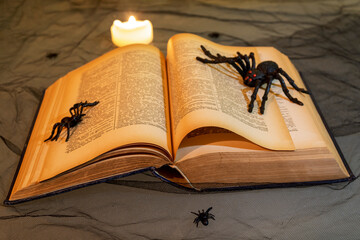 Open old book with big black spiders and burning candle