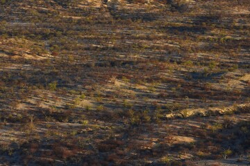  Blick von der Vingerklippe im Abendlicht