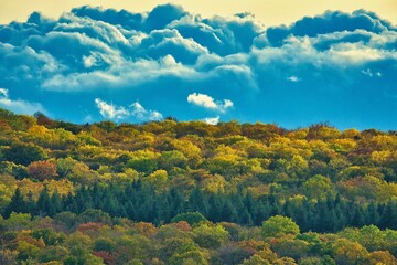 Fototapeta na wymiar Wälder im Herbst Himmel Wolken