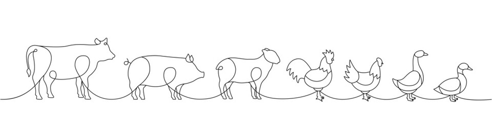 Farm animals one line continuous drawing. Cow, Pig, Sheep, Rooster, Chicken, Goose, Duck silhouettes. Farm animals one line illustration.