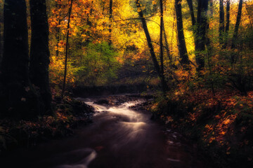 Golden October, lovely warm colors in the forest wood hills of the Saarland countryside in Germany,...
