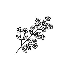 Blooming spring twig with leaves. Black and white vector isolated doodle illustration spring and summer season. Card or print hand drawn single element