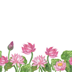 Âorder of pink lotus flowers and leaves