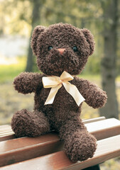 A teddy bear sits on a bench in an autumn park. The concept of loneliness. Brown bear cub alone in the forest.