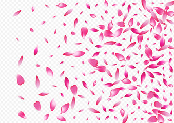 Red Floral Vector Transparent Background. Petal