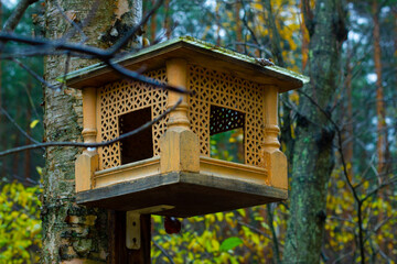Wooden feeder for squirrels and birds on a tree in the autumn forest.
