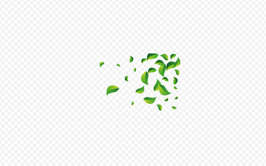 Fototapeta premium Lime Greens Forest Vector Transparent Background.
