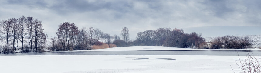 Winter landscape with trees near a snowy river in cloudy weather