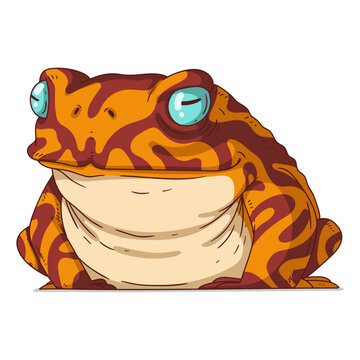 Exotic Frog, isolated vector illustration. Cartoon picture of a chubby tropic toad sitting. Drawn animal sticker. Simple drawing of a vivid frog on white background. The Amazon rainforest amphibian.