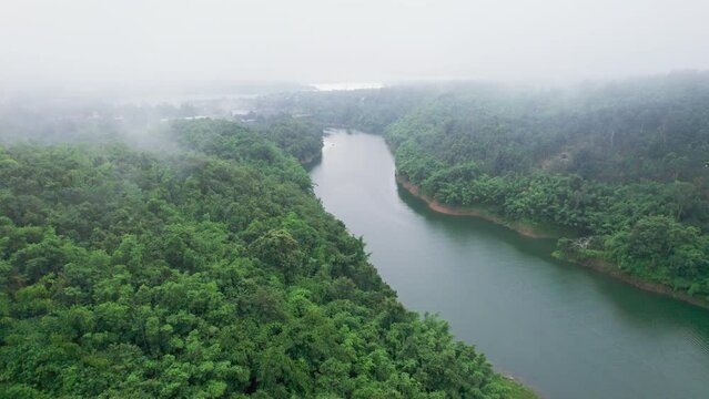 Natural foggy river flowing in tropical rainforest of abundance ecosystem in the morning