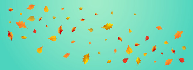 Brown Floral Vector Blue Panoramic Background.