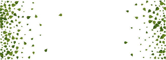 Olive Foliage Realistic Vector Panoramic White