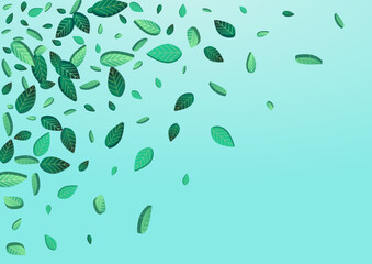 Forest Foliage Flying Vector Blue Background