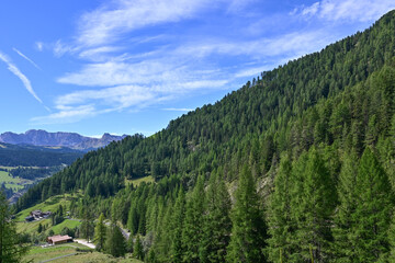 Panorama vom Gipfel des Col Raiser mit Blick auf die Dolomiten, in Santa Cristina, Valgardena, Bozen, Südtirol Italien