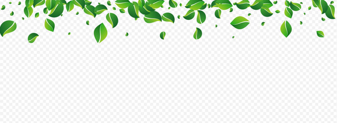 Mint Leaves Forest Vector Panoramic Transparent