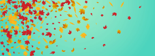 Orange Floral Vector Blue Panoramic Background.