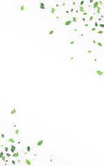 Swamp Greenery Falling Vector White Background