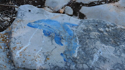 Drawing of a dolphin on a stone by the sea
