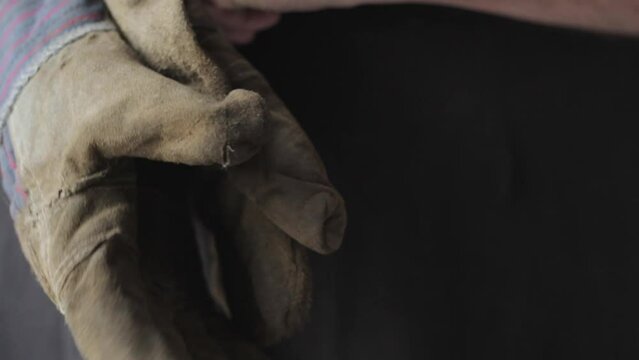 Closeup of man putting on work gloves