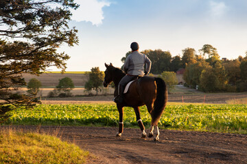 a rider in a riding suit on a big horse against the background of the fields. Healthy lifestyle and love for horses. A woman rides a beautiful red horse along the road. Horse riding and pet care.