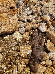 Stones under water.