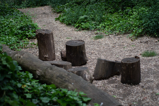 Troncos cortados a un costado del camino en el bosque