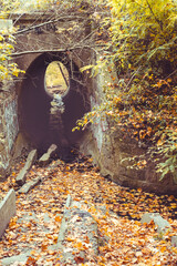 Pollution of the environment or pollution of natural water bodies with various garbage. Close-up