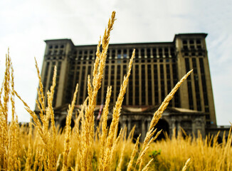 grass grown in front of then abandoned Michigan Central Station, Detroit. 