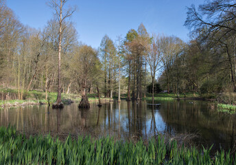 Fototapeta premium View of lake and trees in Dortmund Germany