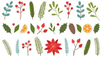 Set of Christmas plant elements. Christmas berries, leaves, twigs, flowers