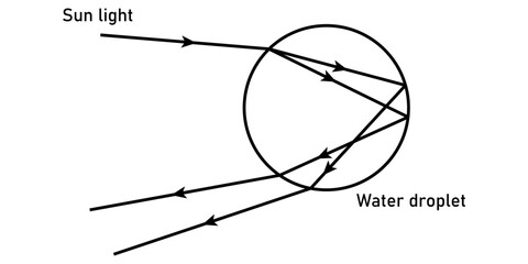 Ray of light falling obliquely on a droplet of water for the formation of the rainbow. Scientific vector illustration isolated on white background.