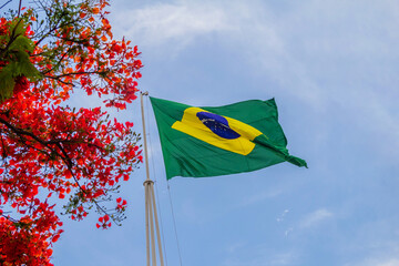 Uma bandeira do Brasil ao lado de flores de Flamboyant (Delonix regia) com o céu azul ao fundo.
