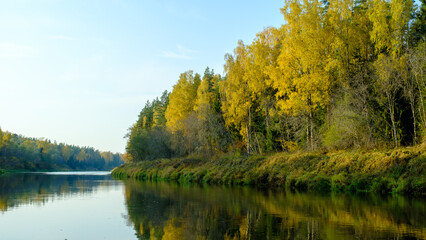 Golden autumn scene with river Gauja and surrounding colourful forest in October in Sigulda in Latvia