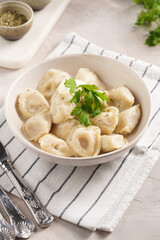 traditional ukrainian east european dish varenyky or chinese wan tan or dim sum - dumplings stuffed with minced meat, fresh cilantro, herbs in white bowl on white lined kitchen towel