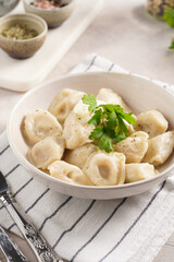 traditional ukrainian east european dish varenyky or chinese wan tan or dim sum - dumplings stuffed with minced meat, fresh cilantro, herbs in white bowl on white lined kitchen towel