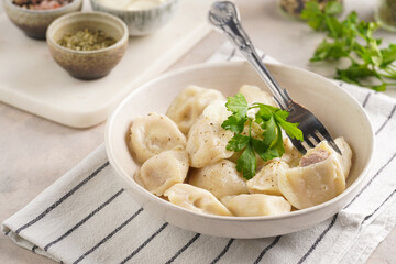 traditional ukrainian east european dish varenyky or chinese wan tan or dim sum - dumplings stuffed with minced meat, fresh cilantro, herbs in white bowl on white lined kitchen towel
