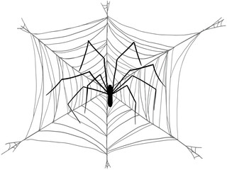 A spider with long legs wove a large web on a white background. Vector silhouette for Halloween card.