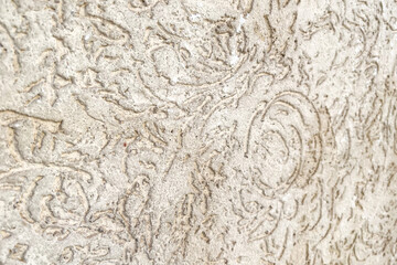 Close-up of a grungy wall